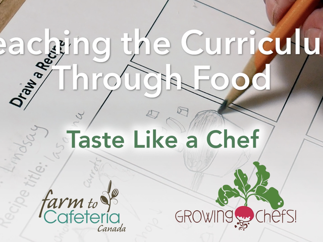 Screen Shot 2022 06 16 at 12 17 26 PM