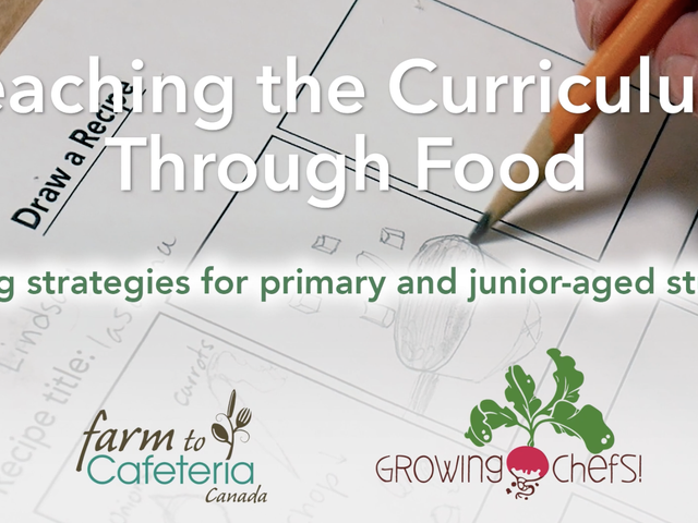 Teaching the Curriculum Through Food: Tasting Strategies for Primary and Junior-aged Students