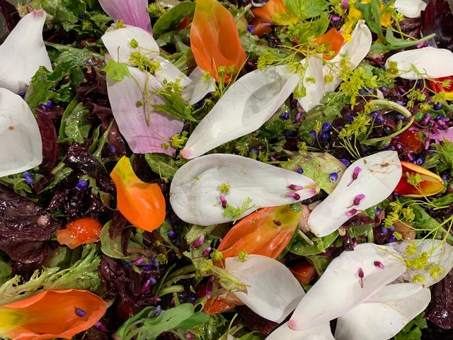 Spring Flower Salad 2