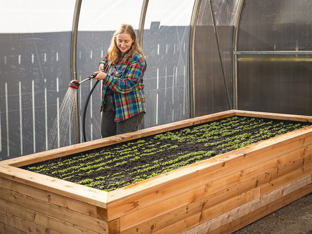 Growing Community Greenhouse!