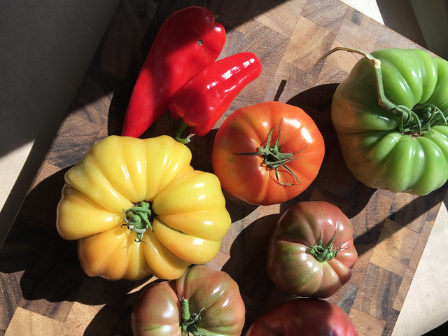 Systèmes alimentaires - Primaire